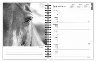 2026 BrownTrout The BrownTrout Portrait Series: The Noble Horse 6.5" x 7.75" Weekly Planner (9798330703746)