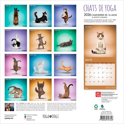 2026 BrownTrout Chats de Yoga OFFICIEL 12 x 12 Monthly Wall Calendar (9798330707348)