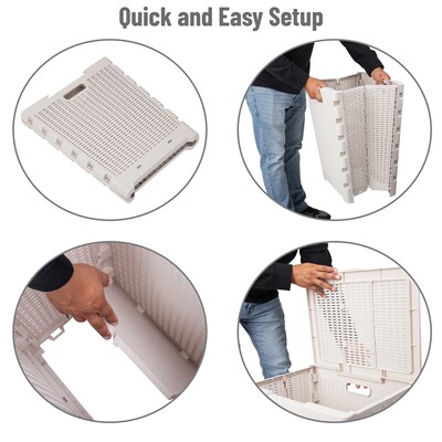 Mind Reader Foldable Plastic Laundry Hamper with Lid, Ivory (FOLHAMP61-IVO)