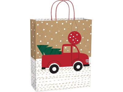 Amscan Cozy Christmas Gift Bags, Assorted Colors, 15/Pack (170531)