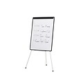 Quill Brand® Presentation Flip Chart Easel, White Steel (28217US/50445US)