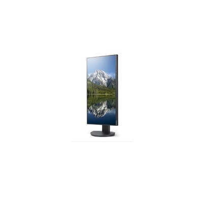 Sharp MultiSync 24 FHD IPS 62Hz Monitor, Built-In Speaker, Height Adjustable, Black (DD-EA242W)