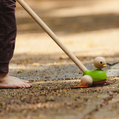Plan Toys Wooden Push Along Duck Toy, Multicolored (PTS5626)