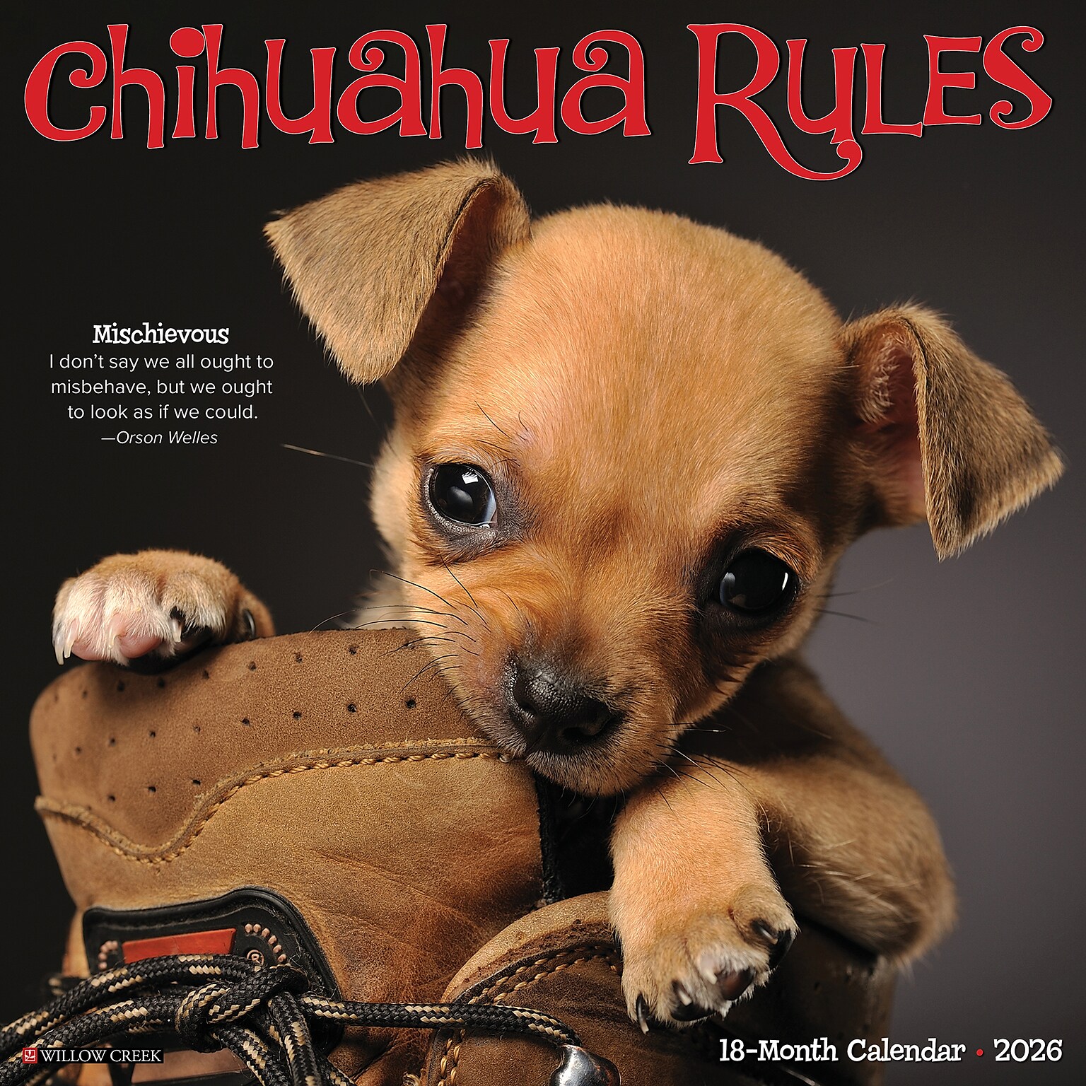 2026 Willow Creek Chihuahua Rules 12 x 12 Monthly Wall Calendar (50682)