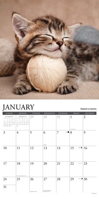 2027 Willow Creek Multi 12" x 12" Monthly Wall Calendar, Assorted Colors (62937)
