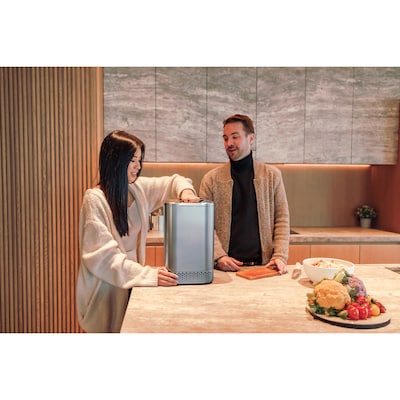 Nagual NA2 0.66 Gallon Indoor Kitchen Smart Electric Composter, Gray (B0D22PN4ZJ)