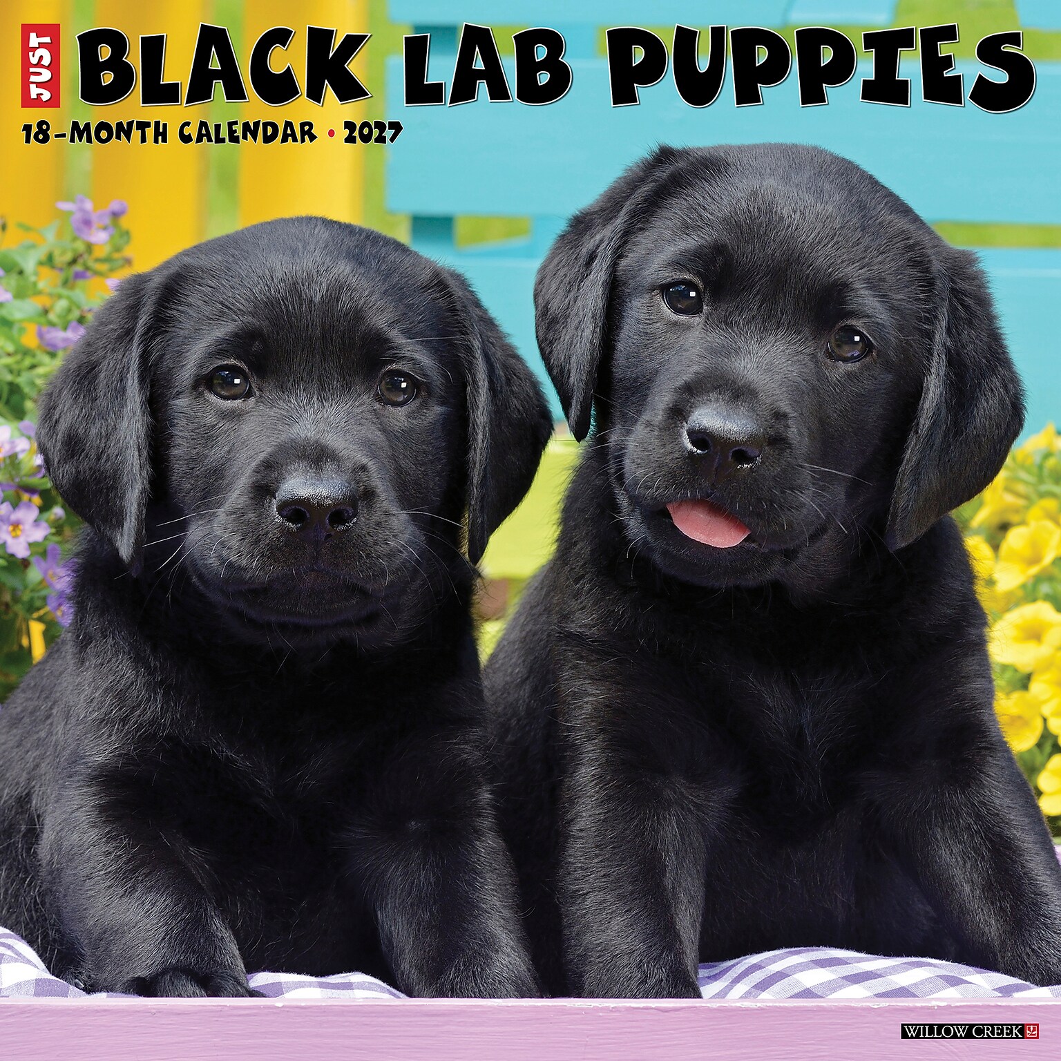 2027 Willow Creek Black Lab Puppies 12 x 12 Monthly Wall Calendar, Assorted Colors (59265)