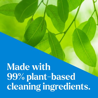 CloroxPro EcoClean All-Purpose Cleaner Spray Bottle, 32 fl. oz., 9/Carton (60276)