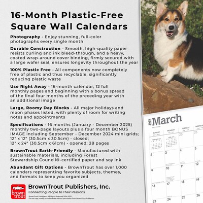 2025 BrownTrout Pembroke Welsh Corgis 12" x 12" Monthly Wall Calendar (9781975477967)