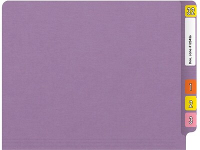 Medical Arts Press Reinforced End Tab File Folder, Straight Cut, Letter-Size, Lavender, 250/Carton (S-01602-LAV-B)