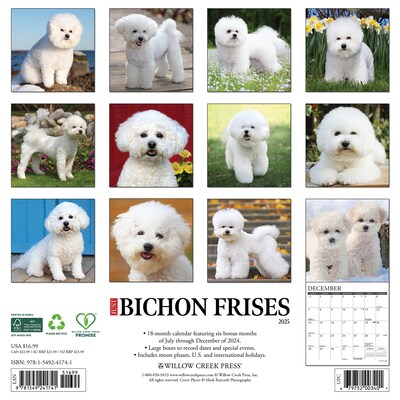 2025 Willow Creek Just Bichons Frises 12 x 12 Monthly Wall Calendar (41741)