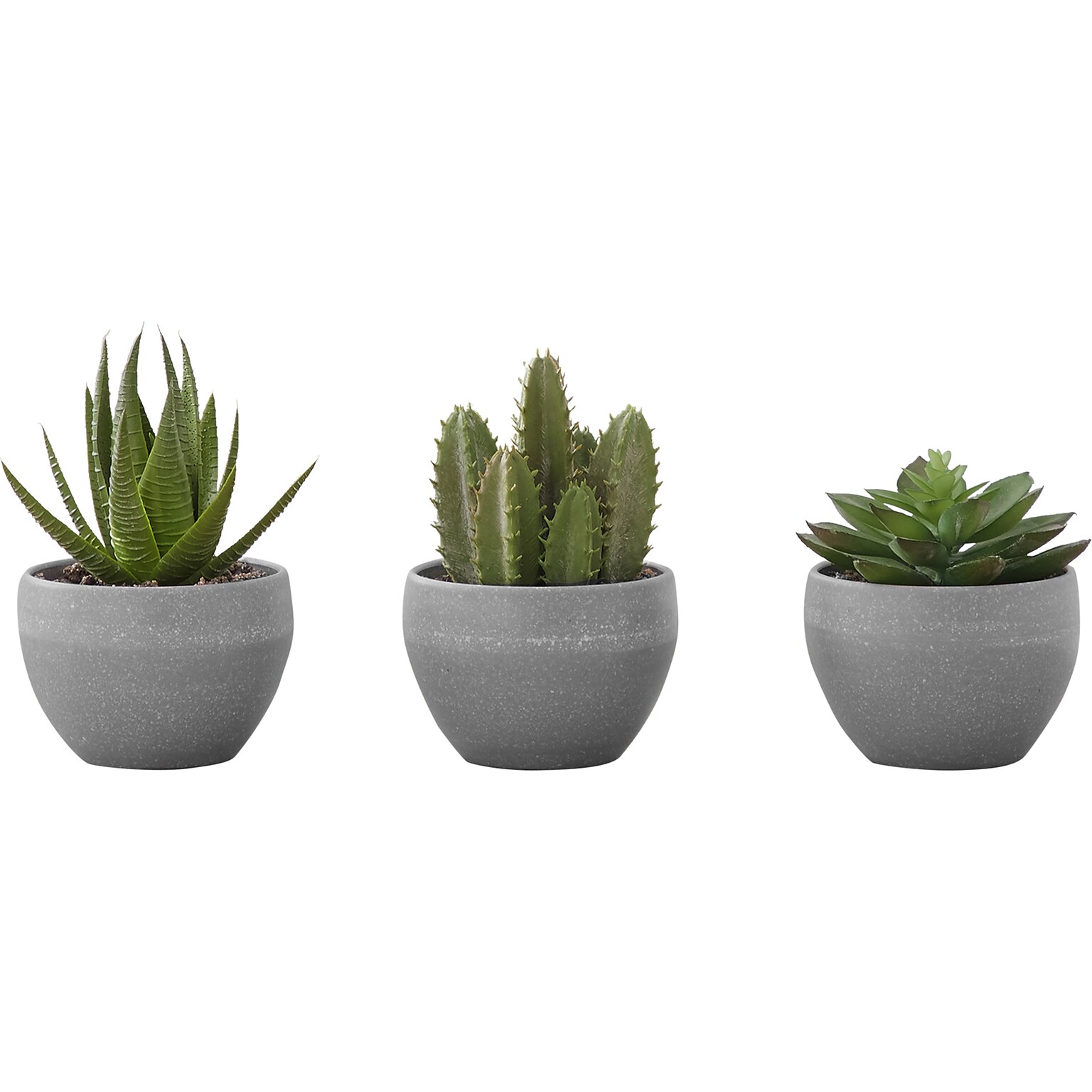 Monarch Specialties Inc. Succulents in Pots, 3/Pack (I 9587)