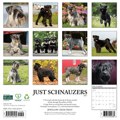2027 Willow Creek Multi 12 x 12 Monthly Wall Calendar, Assorted Colors (62180)