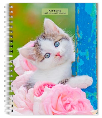 2026 BrownTrout Kittens 6.5 x 7.75 Weekly Planner (9798330704125)