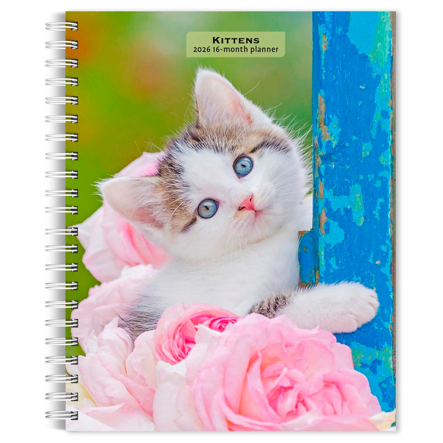 2026 BrownTrout Kittens 6.5 x 7.75 Weekly Planner (9798330704125)