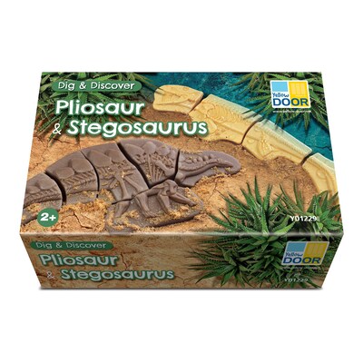 Yellow Door Dig and Discover Pliosaur & Stegosaurus, Assorted Colors, 10/Set (YUS1229)