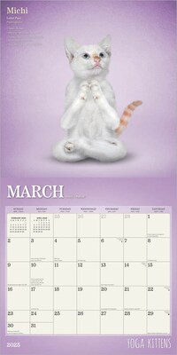 2025 Plato Yoga Kittens 12" x 12" Monthly  Wall Calendar (9781975480134)