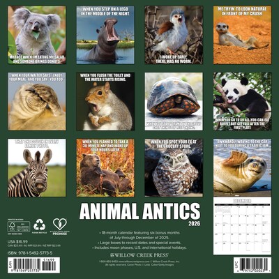 2026 Willow Creek Animal Antics 12 x 12 Monthly Wall Calendar (57735X)