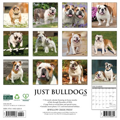 2025 Willow Creek Just Bulldogs 12 x 12 Monthly Wall Calendar (42038)