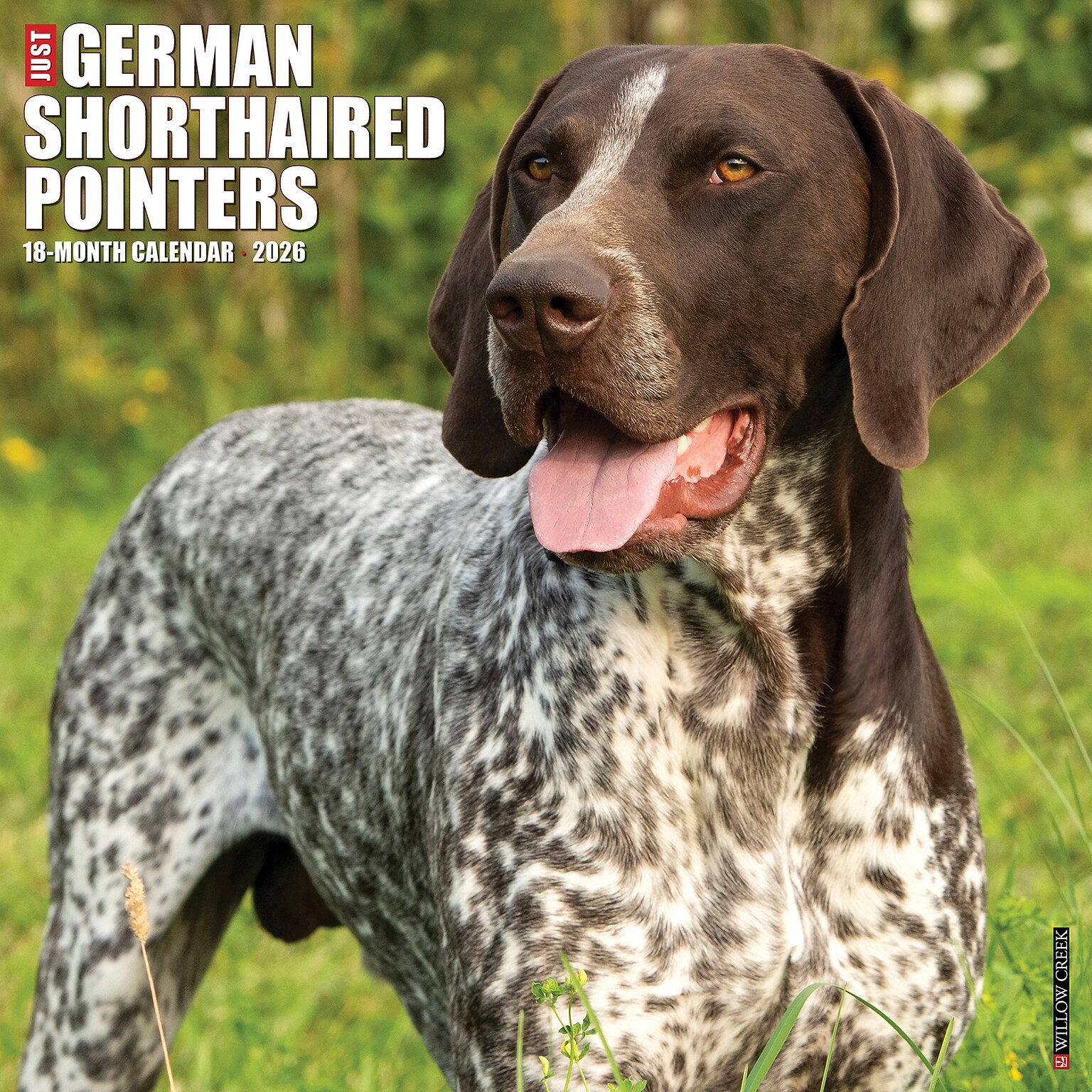 2026 Willow Creek German Shorthaired Pointers 12 x 12 Monthly Wall Calendar (51245)