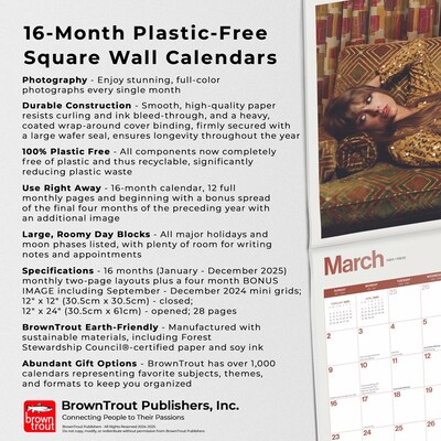 2025 BrownTrout Taylor Swift OFFICIAL 12" x 24" Monthly Square Wall Calendar (9781975479633)