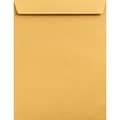 Lux Jumbo Envelope 13 x 19 inch Brown Kraft 50/Pack (22663-50)