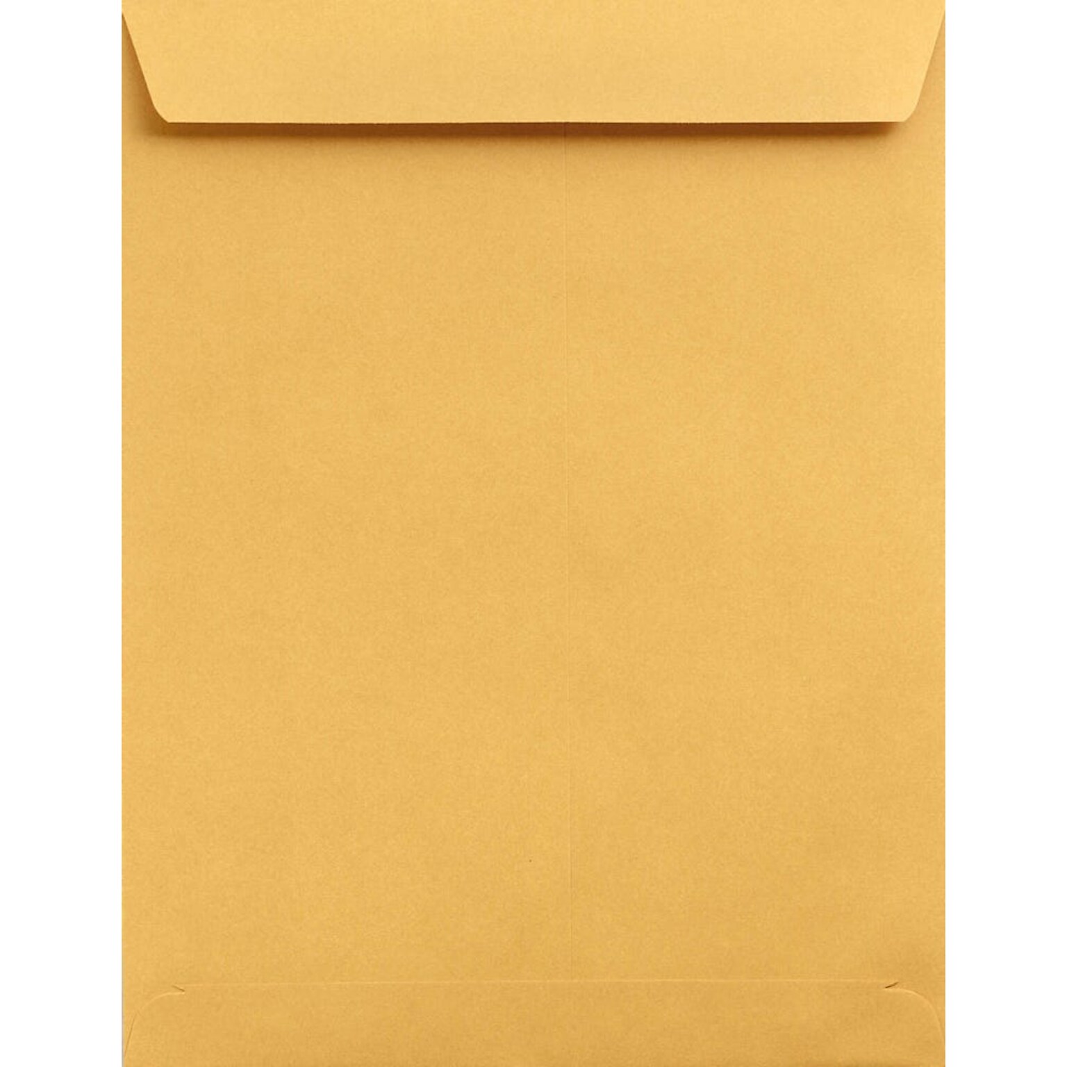 Lux Jumbo Kraft Envelope 13 x 19 inch Brown Kraft 50/Pack (22663-50)