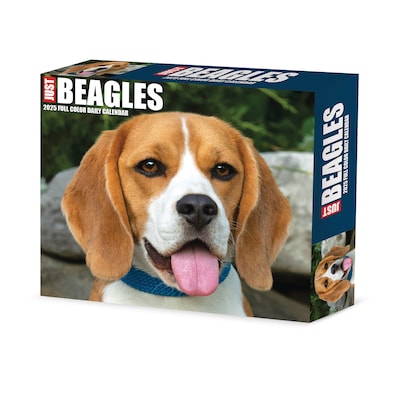 2025 Willow Creek Beagles 6 x 5.5 Day-to-Day Calendar (40652)