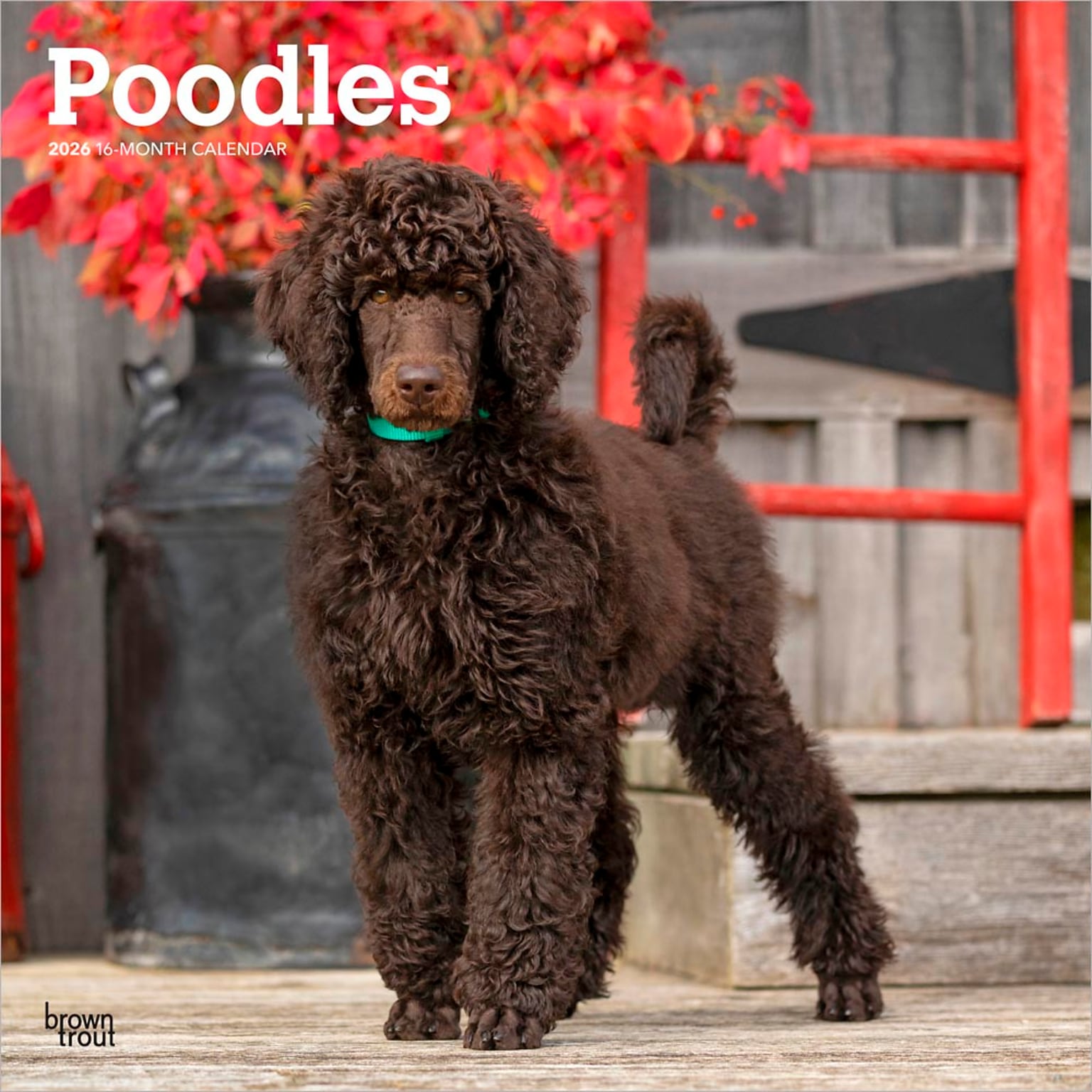 2026 BrownTrout Poodles 12 x 12 Monthly Wall Calendar (9798330705160)