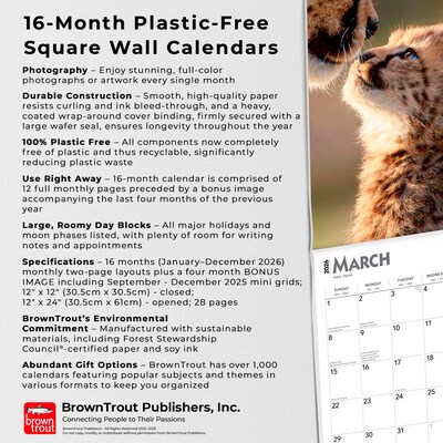 2026 BrownTrout Baby Animals 12" x 12" Monthly Wall Calendar (9798330702244)