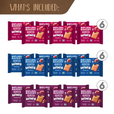 Snack Box Pros Mini Bar Snack Mix Box, 50/Box (700-00197)