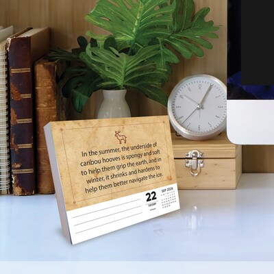 2026 Willow Creek Awesome Animal Facts 6.2" x 5.4" Day-to-Day Calendar (55151)