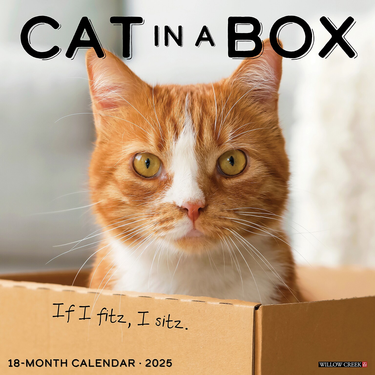 2025 Willow Creek Cat in a Box 12 x 12 Monthly Wall Calendar (42182)