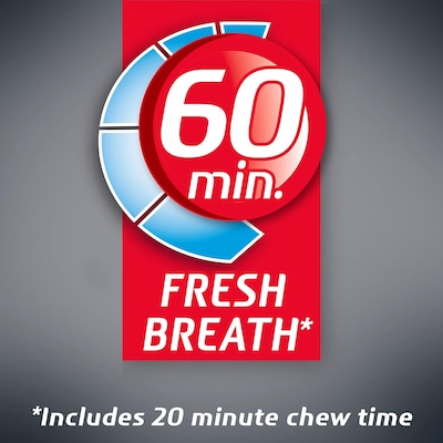 Dentyne Ice Sugar Free Arctic Chill Gum, 9 Packs/Box (VAM05109)