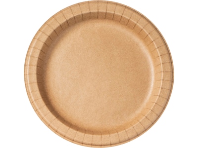 Dixie ecosmart 10.06"Dia. Paper Plate, Brown, 125 Plates/Pack (RFP10WS)