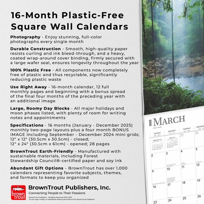 2025 BrownTrout Magic Places 12" x 12" Monthly Square Wall Calendar (9781975475130)