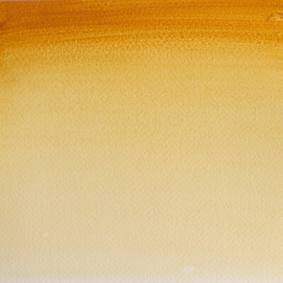 Winsor & Newton Watercolor Paint Tube, Raw Sienna (WNX0308552)