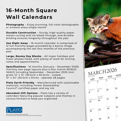 2026 Plato Kittens & Puppies 12" x 12" Monthly Wall Calendar (9798330706815)