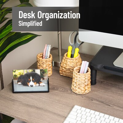 Mind Reader Pen Holder, Brown, 3/Set (PENRAT3-BRN)