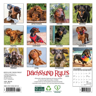 2025 Willow Creek Dachshund Rules 7 x 7 Monthly Wall Calendar (45749)