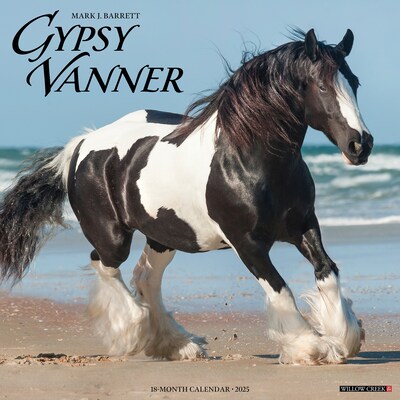 2025 Willow Creek Gypsy Vanner Horse 12 x 12 Monthly Wall Calendar (43264)