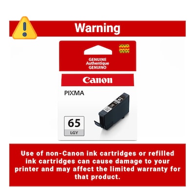 Canon 65 LGY Light Gray Standard Yield Ink Cartridge (4222C002)