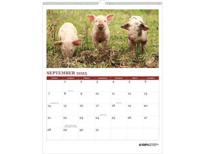 2025 House of Doolittle Farm Life 11" x 14" Monthly Wall Calendar (316-25)