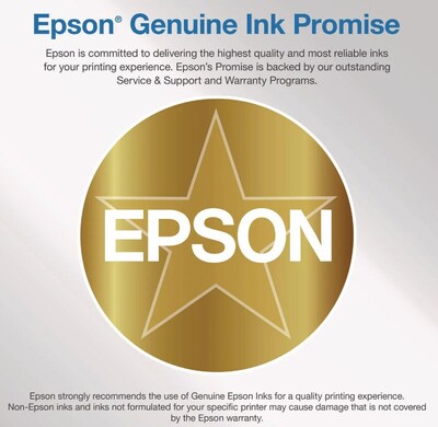 Epson T850 UltraChrome High-Yield Ink, Vivid Light Magenta (T85060N)