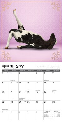 2026 Willow Creek Cow Yoga 12" x 12" Monthly Wall Calendar (50873X)
