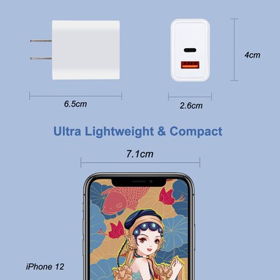LAX Tech Mod PD 20W 2-Port USB-C Wall Charger, White (TMWUCWH)