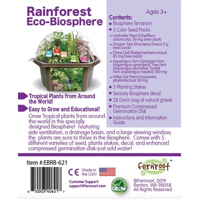 Fernroot Rainforest Biosphere, Multicolored (SRCEBRB621)