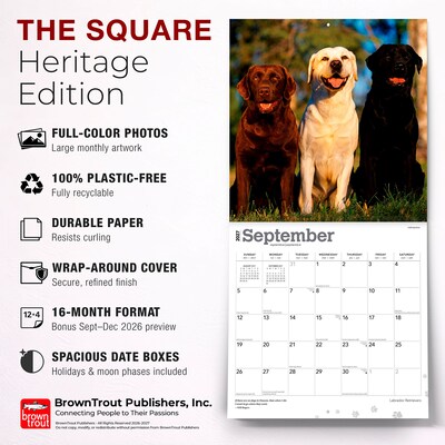 2027 BrownTrout Labrador Retrievers 12" x 12" Monthly Wall Calendar (9798330712540)