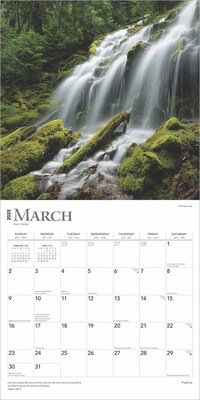 2025 BrownTrout Psalms 12" x 12" Monthly Wall Calendar (9781975477554)