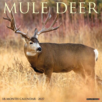 2027 Willow Creek Mule Deer 2027 12 x 12 Wall Calendar 12 x 12 Monthly Wall Calendar, Assorted Colors (61350)